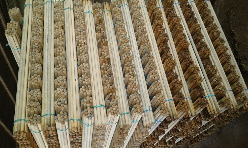 Palos de escoba